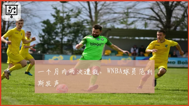 一个月内两次遭裁，WNBA球员范利斯发声