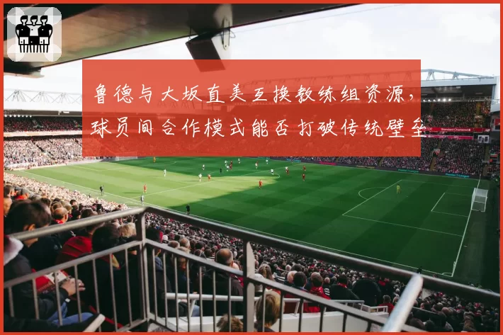 鲁德与大坂直美互换教练组资源，球员间合作模式能否打破传统壁垒？