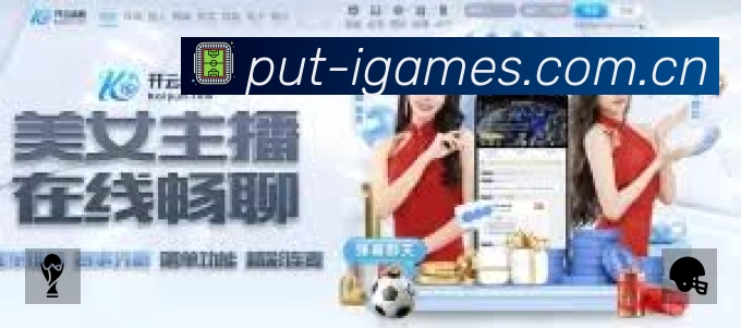 安全使用与支持流程